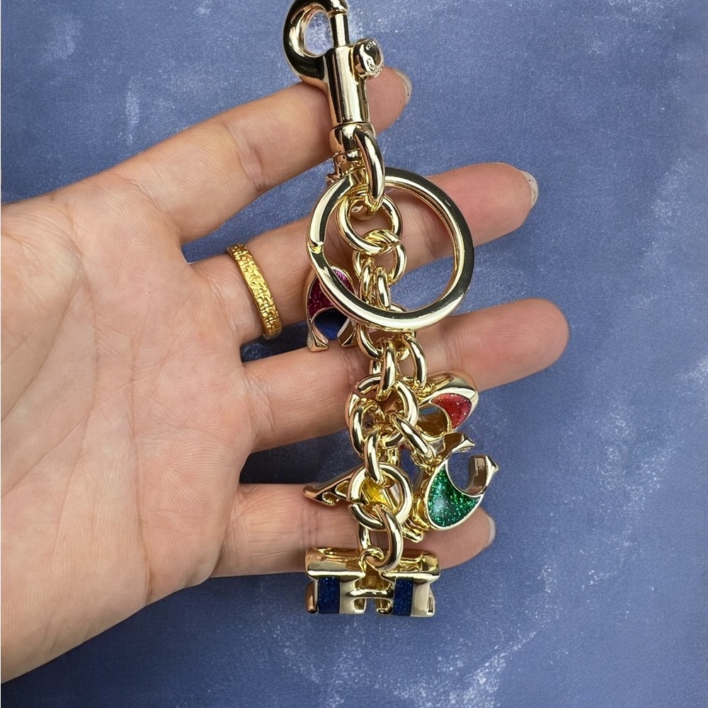 🌪️Coach Multicolor Key Holder with Gold Accents